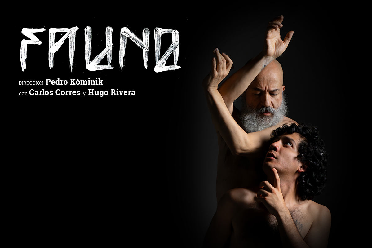 LC26_Fauno_Web